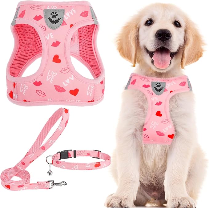 PUPTECK Adjustable Dog Harness Collar and Leash Set Step in No Pull Pet Harness for Small Medium Dogs Puppy and Cats Outdoor Walking Running, Soft Mesh Padded Reflective Vest Pink Red Heart Harnesses