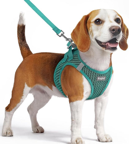 Eagloo Small Dog Harness and Leash Set, Step in Puppy Vest with Breathable Soft Mesh, Walking Reflective Pet Harness for Small Dogs, Forest Green, M
