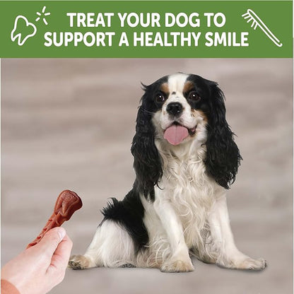 Wellness WHIMZEES Daily Brushzees Dog Dental Treat, VOHC Accepted Chews, Freshens Breath, Small Size, 7.4 oz Bag, 14 Count