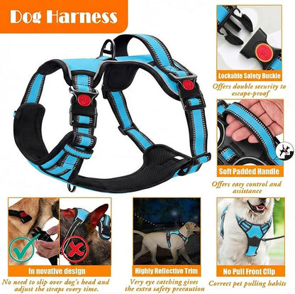No Pull Dog Harness, Collar & Leash Set with Retractable Dog Seat Belt, Collapsible Dog Bowls and Poop Bag Dispenser - Ideal for Training, Walking, Hiking - Fits Small to Large Dogs(Blue-M)