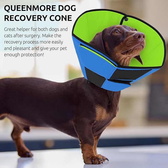 Queenmore Dog Cones for Small Dogs, Soft Cone for Dogs After Surgery, Adjustable Comfy Cone for Dogs & Cats, Comfortable Pet Cone After Surgery for Wound Healing, Blue&Green S