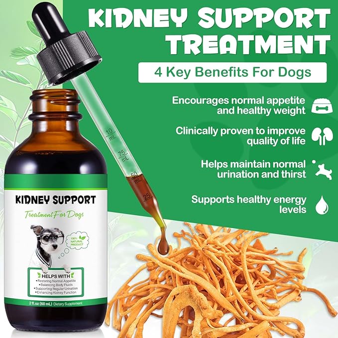 Pet Kidney Support for Dogs, Veterinarian Formulated, Supports Healthy Kidney Function in Dogs, Promotes Overall Physical Health and Vitality, Herbal Supplement, Easy to Absorb, 2 oz