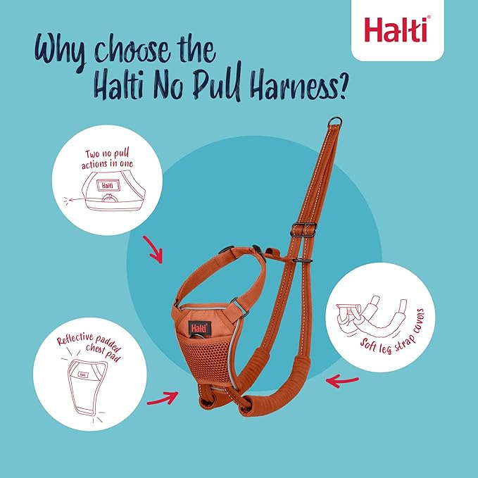 Halti No Pull Harness - Stop Your Dog Pulling on The Leash. Adjustable, Lightweight and Easy to Use. Reflective Dog Training Harness for Medium Dogs (Size M, Burnt Orange)