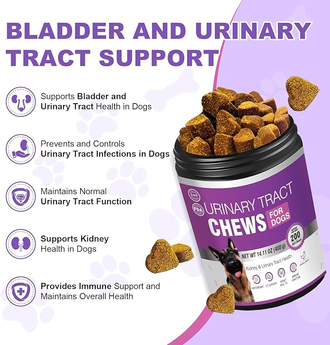 Dog Uti Treatment Cranberry Supplement for Dogs 200 Chews Urinary Tract Medicine Bladder Control Pills Kidney Support Cranberrys Extract Bites Uti Infection Treats Incontinence Remedy for Dogs Chicken