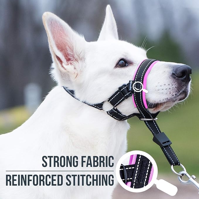 GoodBoy Dog Head Halter with Safety Strap - Stops Heavy Pulling On The Leash - Padded Headcollar for Small Medium and Large Dog Sizes - Head Collar Training Guide Included (Size 4, Pink)