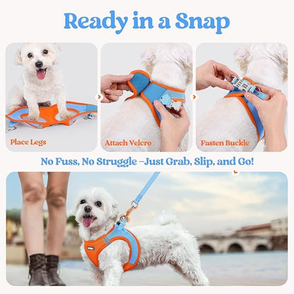 rabbitgoo Dog Harness Small Medium Sized and Leash Set, Step in Soft Light Puppy Vest, Breathable Mesh Pet Harness, Reflective for Safe Easy Walking, Blue & Orange XL