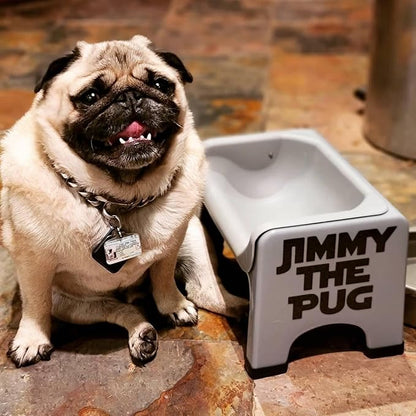 Fluff Trough Elevated Dog Bowl for Food | 5inch Tall Cat & Dog Feeding Station | Vet Approved Non-Toxic Silicone Feeder Bowl Insert | Raised Bowl for Medium and Small Dog/Pet with Flat Face (Gray)