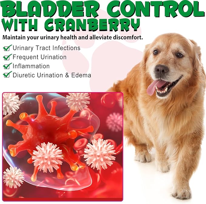 Urinary Tract for Dogs, Dog Urinary Tract Infection Treatment with Cranberry Supports Urinary Tract & Bladder, Supports Kidney Stone & Dog UTI, Pet Supplement Cranberry Supplement for Dogs - 60 ml