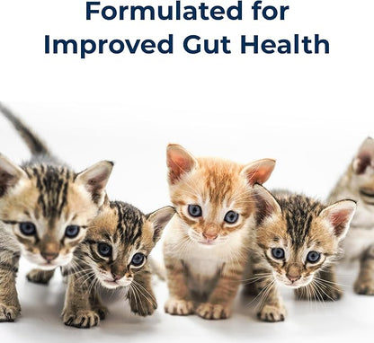 PetAg KMR Kitten Milk Replacer Liquid - 11 oz, Pack of 4 - Ready-to-Feed Kitten Formula with Prebiotics, Probiotics & Vitamins for Kittens Newborn to Six Weeks Old - Easy to Digest