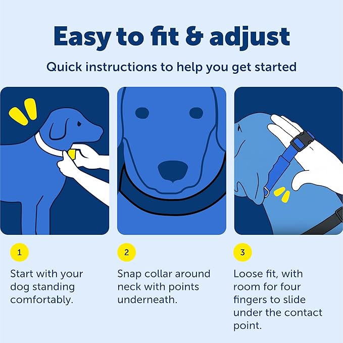 PetSafe Soft Point Training Collar - Comfortable No-Pull Adjustable Quick-Release Collar with Removable Soft Rubber Points - Pain-Free Training for Better Leash Manners - Large - Black