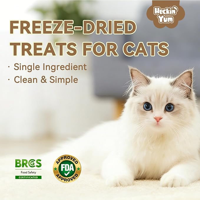 Freeze Dried Cat Treats, Single Ingredient Duck Bites Snacks for Cats & Dogs, Grain-Free High Protein Healthy Training Treats & Food Topper for Cats & Dogs, 4 oz