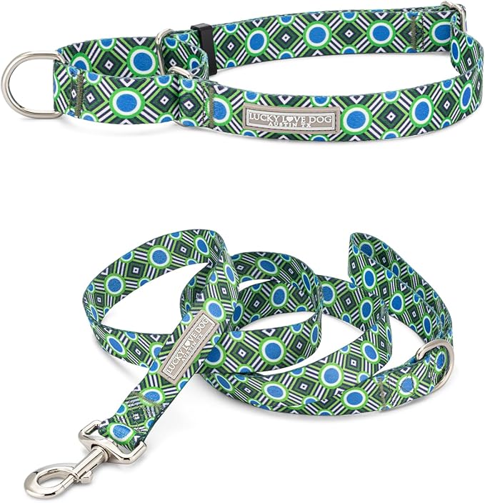 Lucky Love Dog Martingale Dog Collar & Leash - Adjustable, No-Slip, Durable, Comfortable, Soft Webbing, & Stylish Patterned Collar & Leash Set for Male and Female Dogs - Leo Combo, Medium