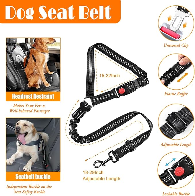 No Pull Dog Harness, Collar & Leash Set | Includes Dog Seat Belt, Collapsible Bowls & Poop Bag Dispenser. Ideal for Training, Walking, Hiking. Fits Small to Large Dogs(Black-XL)