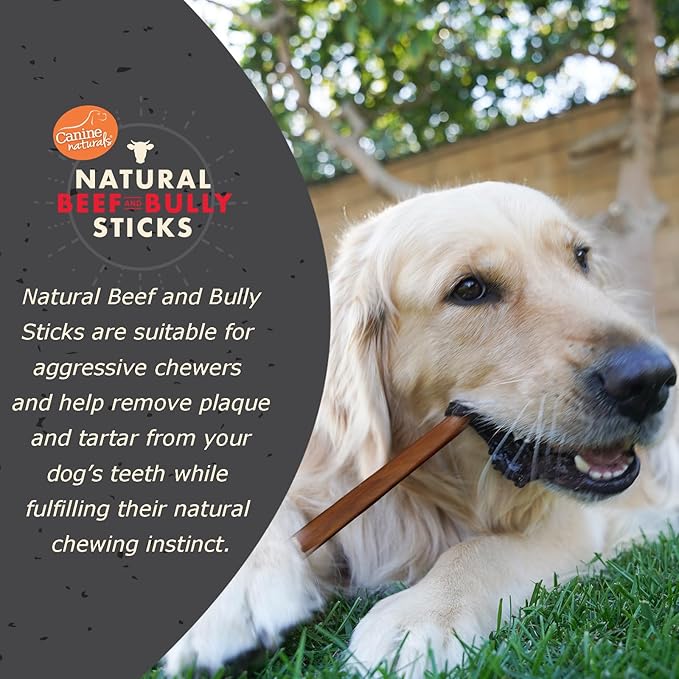 Canine Naturals | Natural Beef & Bully Sticks | 48 Count | Long-Lasting, Odor Free, High Protein Chews Made with 100% Real Bully | Bulk Carton Medium Sticks