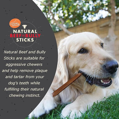 Canine Naturals | Natural Beef & Bully Sticks | Long-Lasting, Odor Free, High Protein Chews Made with 100% Real Bully | 4 Count Large Sticks