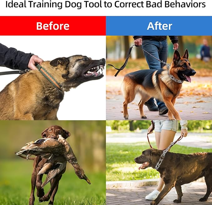 Prong Collar for Dog Large, Pinch Collar for Dogs,Choke Collar for Dogs, Quick Release Buckle and Carabier Lock, Comfort Rubber Tips, for Large Dogs (Large, 4.0mm,23.6-Inch, with Buckle)