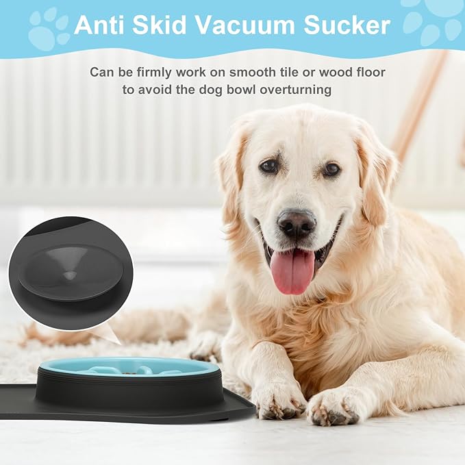 Anipaw Slow Feeder Dog Bowls 3 in 1 Stainless Steel Dog Food and Water Bowls with Non-Spill Non-Skid Silicone Mat to Slow Down Eating for Large Medium Small Breed Size Dogs and Cats (Grey Blue)