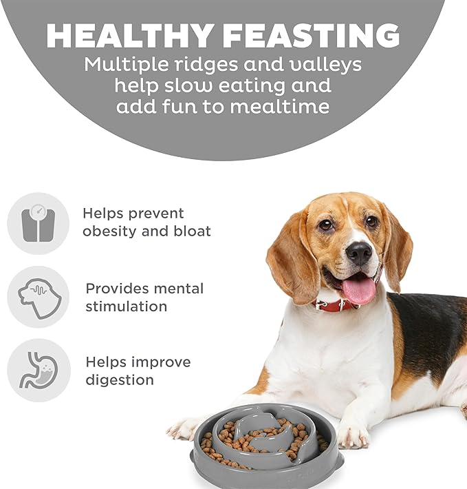Outward Hound Fun Feeder Slo Bowl – Medium 2‑Cup Capacity, Slow Feeding, Small to Medium Dogs & Cats, Non-Slip, Gray, Drop Pattern