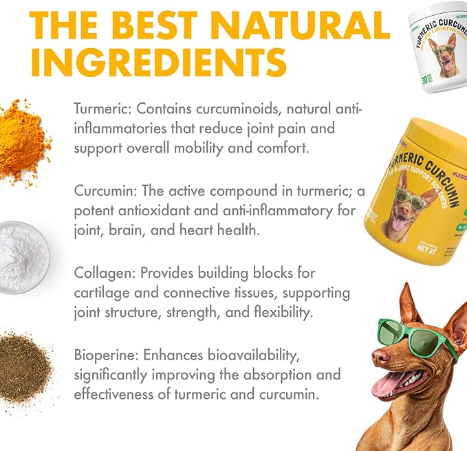 Turmeric Curcumin Hip & Joint Dogs Supplement Anti-Inflammatory Support for Arthritis & Mobility with Collagen & BioPerine Pain Relief Antioxidant Digestive Cardiovascular and Liver Health 120 Chews