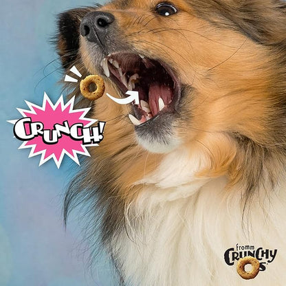 Fromm Crunchy Os Slammon' Smoked Salmon Dog Treats - Premium Crunchy Dog Treats - Salmon Recipe - 26 oz