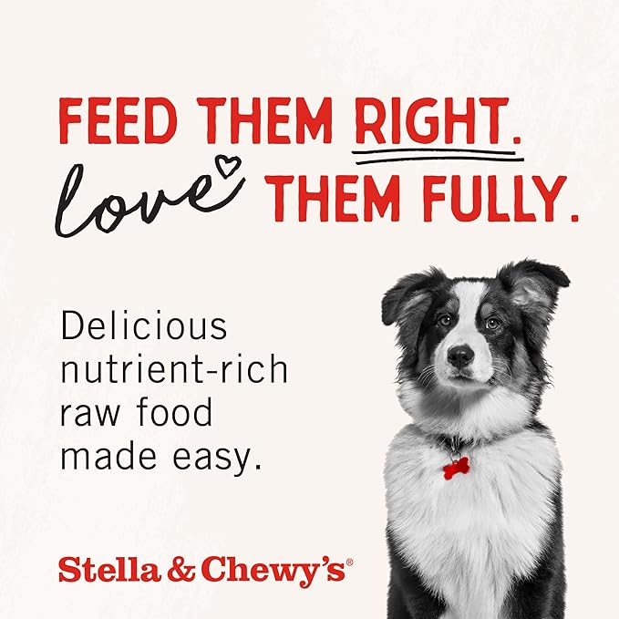 Stella & Chewy's Freeze-Dried Raw Beef Meal Mixers- Dog Food Topper and Mixer - Made with 95% Grass-Fed Beef, Organs & Bone - Perfect for Picky Eaters - Grain-Free - 1 oz (Pack of 6)