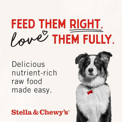 Stella & Chewy's Freeze-Dried Raw Beef Meal Mixers- Dog Food Topper and Mixer - Made with 95% Grass-Fed Beef, Organs & Bone - Perfect for Picky Eaters - Grain-Free - 1 oz (Pack of 6)