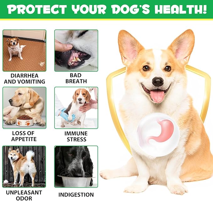 Probiotics for Dogs, 180 Chews Dog Probiotics and Digestive Enzymes, Promotes Gut Health, for Bowel Support, Immunity Health