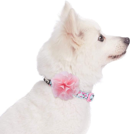 Blueberry Pet Made Well Cute Floral Print Adjustable Dog Collar in Light Blue with Pink Artificial Silk Flower, Small, Neck 12"-16"