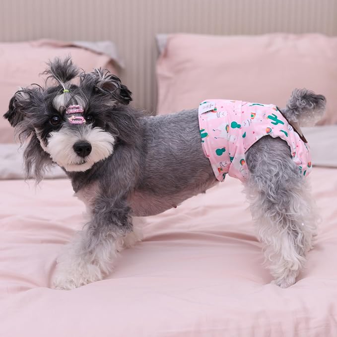 CuteBone Dog Diapers Female Washable Small Medium Large 3 Pack Reusable Doggie Diapers Puppy Period Pants for Doggy Heat Cycle Peeing D31L