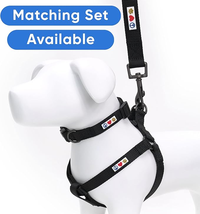Pawtitas Solid 6 ft Black Dog Leash XS/S Custom Name and Phone Embroidery Strong Nylon Leash for Small Breeds