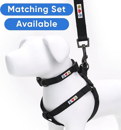 Pawtitas Solid 6 ft Black Dog Leash XS/S Custom Name and Phone Embroidery Strong Nylon Leash for Small Breeds