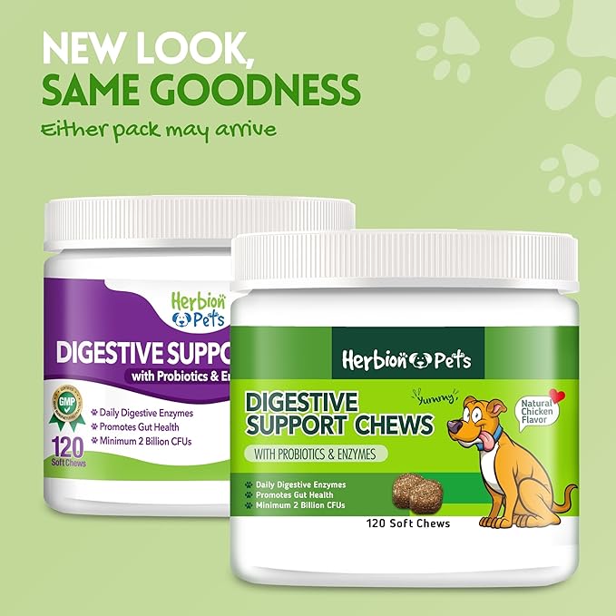 Herbion Pets Digestive Support Chews with Probiotics & Enzymes, 120 Soft Chews, with Daily Digestive Enzymes, for Improved Gut Health, Minimum 2 Billion CFUs, Made in USA for Dogs 12 Weeks+, Pack 1