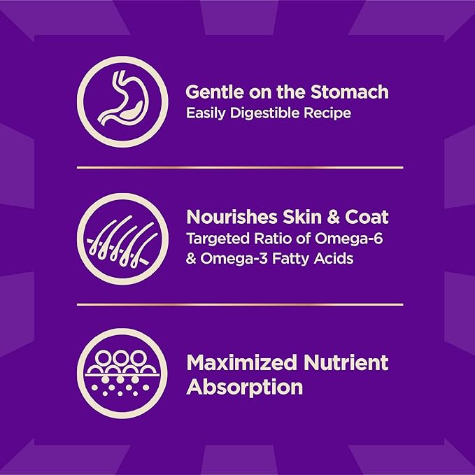 Wellness CORE+ Sensitive Skin and Stomach Adult Dry Dog Food with Freeze Dried Pieces, Wholesome Grain Kibble+, Natural, High Protein, Chicken Free, Salmon and Rice Recipe, 4 lb Bag