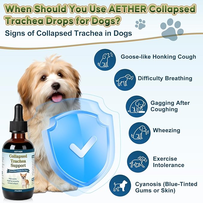 Collapsed Trachea Support for Dogs, Support Tracheal & Respiratory Health, Trachea Cough Elixir, Airway & Throat Comfort Drops for Small Breeds, Dogs Dry Hacking Cough Relief, Herbal Formula 2 fl oz