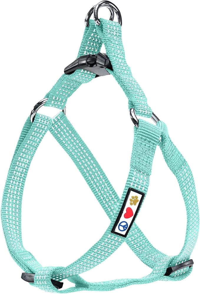 Pawtitas Reflective Step-in Dog Harness – Adjustable No-Pull Vest for Puppies to Seniors, Safe & Comfortable, S Teal