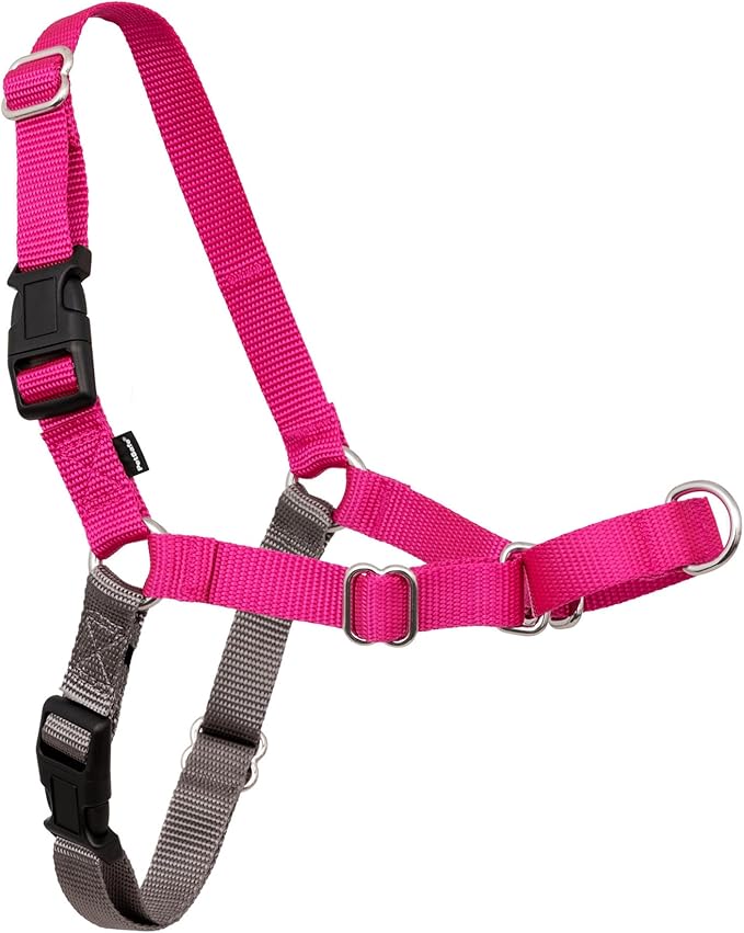 PetSafe Easy Walk Harness for Dogs - Pull-Free Walks - Martingale Loop Design - Front Chest Leash Attachment - Adjustable Comfort Straps - Breathable Harness Design - Small/Medium, Raspberry/Gray