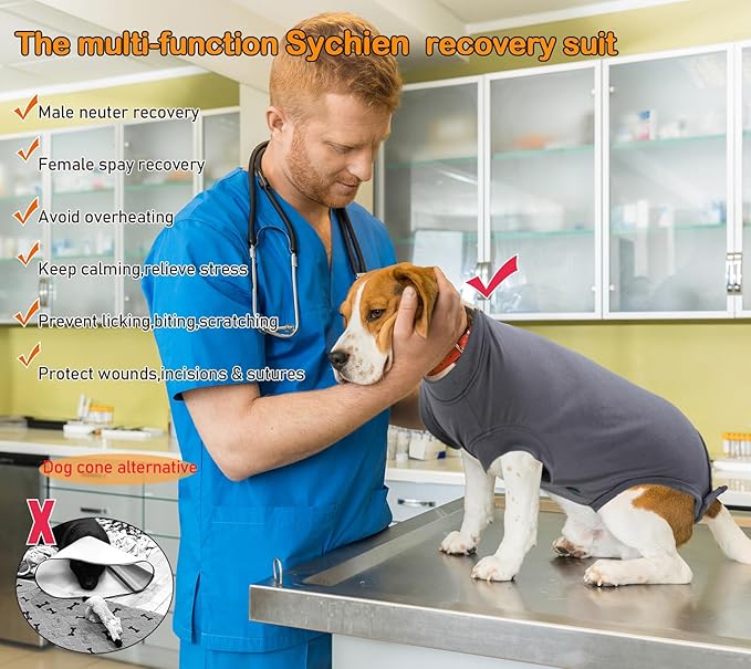 Dog Surgery Recovery Suit, Recovery Suit for Dogs Male Female Spay & Neuter, Anti-Licking Surgical Onesie for Dogs After Surgery Wear, Dog Cone Alternative (Blank Grey, XL)