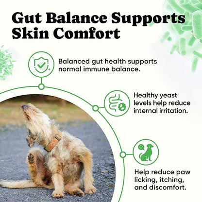 Probiotics for Dogs – Helps Digestion, Loose Stools, Gas & Sensitive Stomachs, Probiotics for Itchy Skin & Dog Yeast Infection, Immune & Fresher Breath with 4 Prebiotics & 5 Digestive Enzymes – 180 ct