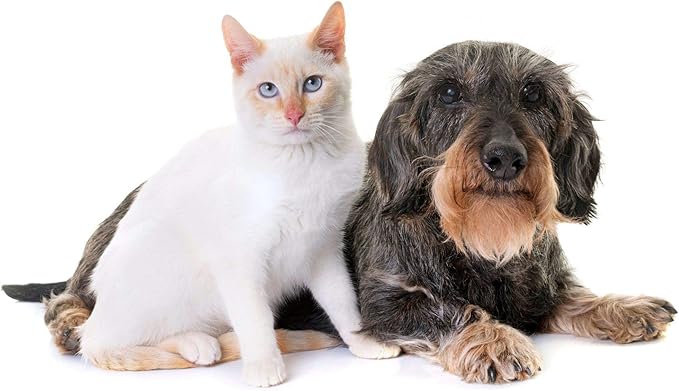 Dog Urinary Tract Support - Pets Urinary Health Complex - for Dogs and Cats - Advanced Bladder Support - Dog Marshmallow Root - 2 Bottles (180 Treats)