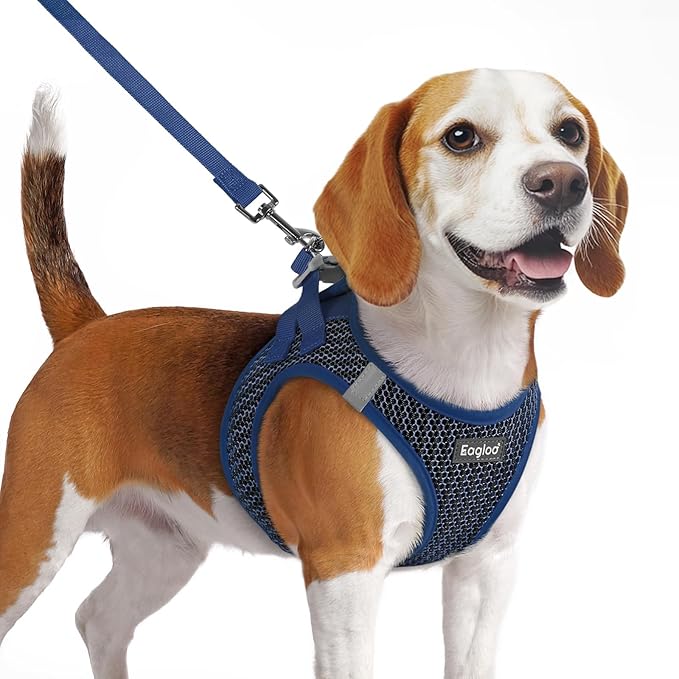 Eagloo Small Dog Harness and Leash Set, Step in Puppy Vest with Breathable Soft Mesh, Walking Reflective Pet Harness for Medium Small Dogs, Navy Blue, M
