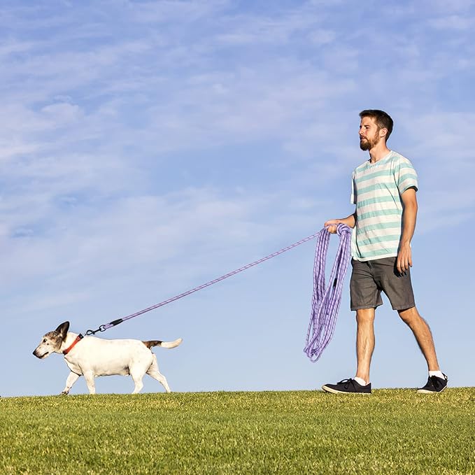 Long Dog Leash for Training 15Ft-Reflective Nylon Rope with Swivel Hook-Recall Agility Lead for Large Small Medium Dogs Outside Walking Hiking-Purple Diam 1/2"