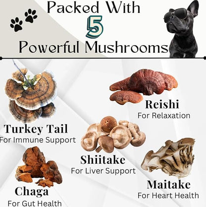 Turkey Tail Mushroom for Dogs - Organic Immune Support Chews - Buddy Health Guard Mushroom Blend - Boosts Immunity, Gut & Joint Health - Natural Chicken Flavor, Grain-Free Supplement - 90 Soft Chews