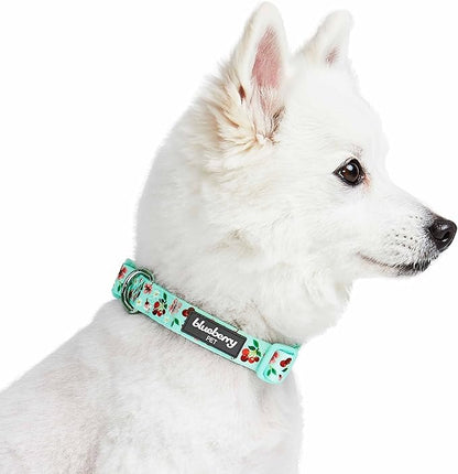 Cherry Garden Dog Collar with Dainty Flowers