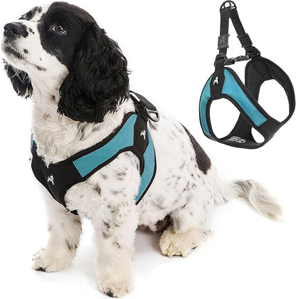 Gooby - Escape Free Easy Fit Harness, Small Dog Step-in Harness for Dogs that Like to Escape Their Harness, Turquoise, Small