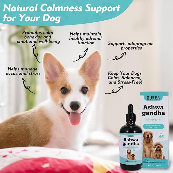 Ashwagandha Drops for Dogs, Calming Drops for Dogs with Ashwagandha Tincture, Supports Composure, Calmness, Relaxation & Emotional Balance, Dog Anxiety Relief from Fireworks, Storms, Separation & More