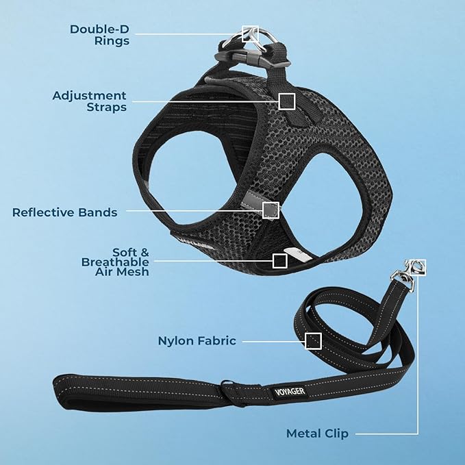 Best Pet Supplies Voyager Step-in Air All Weather Mesh Harness and Reflective Dog 5 ft Leash Combo with Neoprene Handle, for Small, Medium and Large Breed Puppies - Gray (2-Tone), S