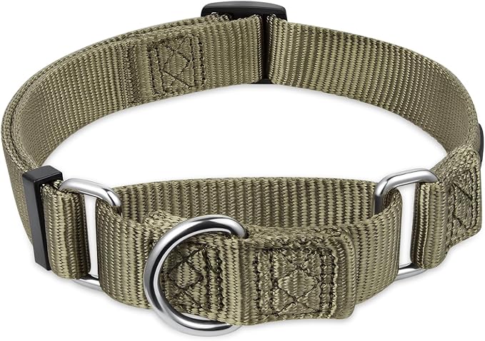 Hyhug Martingale Dog Collar Medium Green |Escape - Proof Heavy Duty Nylon Durable No Slip, Ideal for Training & Daily Walks
