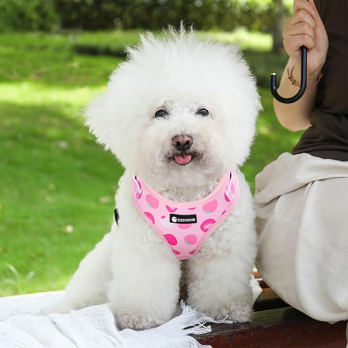 Dog Harness and Leash Set, Adjustable Dog Harness, Dog Leash, No Pull No Choke Puppy Harnesses for Walking Training for Small Medium Pet (Strawberries, M(Chest 15.7-22.1", Neck 12-15"))