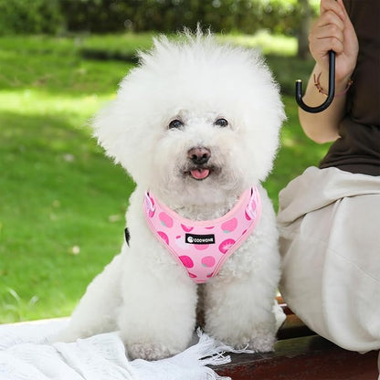 Dog Harness and Leash Set, Adjustable Dog Harness, Dog Leash, No Pull No Choke Puppy Harnesses for Walking Training for Small Medium Pet (Strawberries, L(Chest 18.5-27.1", Neck 14.5-20.1"))