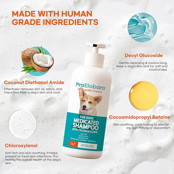 Medicated Dog Shampoo for Allergies and Itching: Antifungal Dog Shampoo, Yeast Infection and Bacterial Treatment for Dogs - Helps Hot Spots, Deodorizing and Anti Itch - Healthy Skin & Coat (Pack of 2